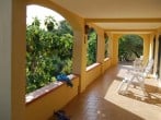 Terrace Terrace